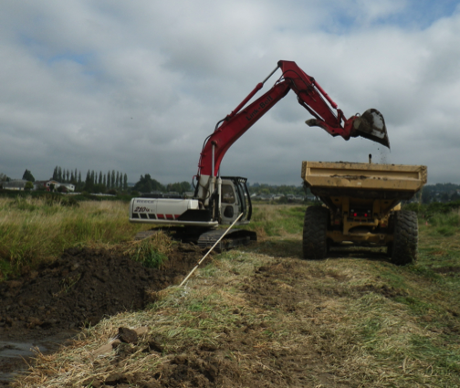Qwuloolt Estuary Restoration Project of the Tulalip Tribes - New Outlet Channel Work