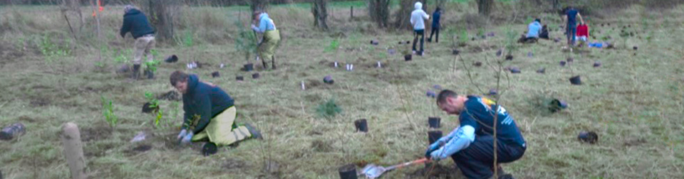 Qwuloolt Estuary Restoration Project of the Tulalip Tribes - Restoration Work Group