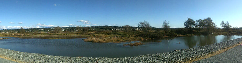 Qwuloolt Estuary Restoration Project of the Tulalip Tribes - Levee