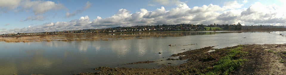 Qwuloolt Estuary Restoration Project of the Tulalip Tribes - Breach