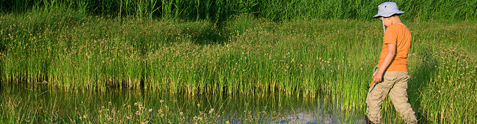 Qwuloolt Estuary Restoration Project of the Tulalip Tribes - Walking the Site