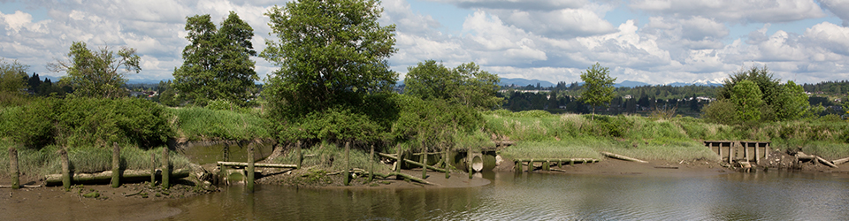 Qwuloolt Estuary Restoration Project of the Tulalip Tribes - Shoreline Restoration