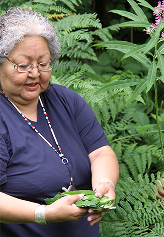 Qwuloolt Estuary Restoration Project of the Tulalip Tribes - Plant Gatherer