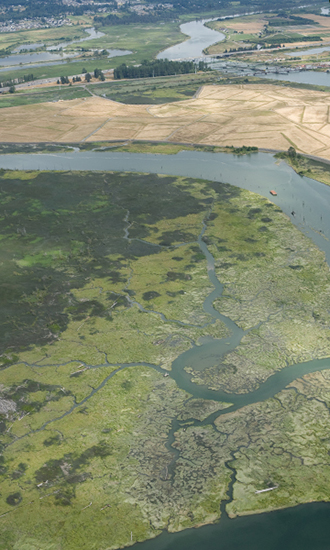 Qwuloolt Estuary Restoration Project of the Tulalip Tribes - Aerial View